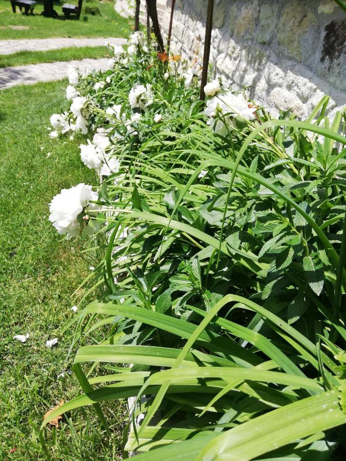 Trifon Zarezan Family Hotel Glavatartsi Dış mekan fotoğraf
